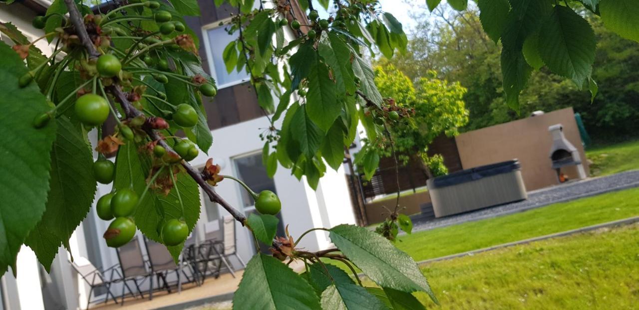 Kenese-Voelgye Villahotel バラトンケネシェ エクステリア 写真